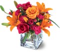Teleflora's Uniquely Chic Bouquet in McDonough GA Absolutely Flowers