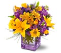 Teleflora's Morning Sunrise Bouquet in McDonough GA Absolutely Flowers