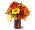 Autumn Gerberas in McDonough GA Absolutely Flowers