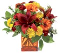 Teleflora's Autumn Awe in McDonough GA Absolutely Flowers