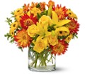 Summer Samba in McDonough GA Absolutely Flowers