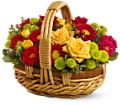 Bundle of Sunshine in McDonough GA Absolutely Flowers