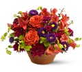 Autumn Celebration in McDonough GA Absolutely Flowers