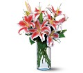 Lovely Lilies in McDonough GA Absolutely Flowers