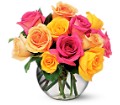 Multi-Colored Roses in McDonough GA Absolutely Flowers