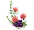 Protea Paradise in McDonough GA Absolutely Flowers