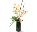 Artful Orchids in McDonough GA Absolutely Flowers