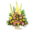 Warm Thoughts Arrangement in McDonough GA Absolutely Flowers