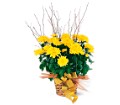 Yellow Hope Chrysanthemum in McDonough GA Absolutely Flowers