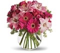 A Little Pink Me Up in McDonough GA Absolutely and McDonough Flowers & Gifts