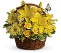 Basket Full of Wishes in McDonough GA Absolutely and McDonough Flowers & Gifts