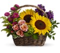 Picnic in the Park in McDonough GA Absolutely and McDonough Flowers & Gifts