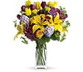 Teleflora's Spring Equinox in McDonough GA Absolutely and McDonough Flowers & Gifts