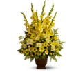Teleflora's Sunny Memories in McDonough GA Absolutely Flowers