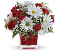 Red And White Delight by Teleflora in McDonough GA Absolutely and McDonough Flowers & Gifts