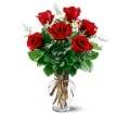 6 Red Roses in McDonough GA Absolutely and McDonough Flowers & Gifts
