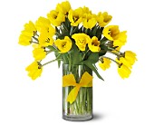 Teleflora's Sunny Yellow Tulips  Premium in McDonoughGA, Absolutely Flowers