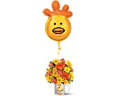 Teleflora's Dr. Chicken Bouquet in McDonough GA, Absolutely Flowers