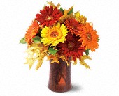 Autumn Gerberas in McDonough GA, Absolutely Flowers