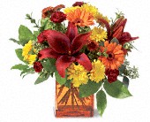 Teleflora's Autumn Awe in McDonough GA, Absolutely Flowers