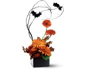 Bat's Incredible in McDonough GA, Absolutely Flowers
