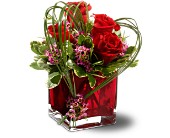 Teleflora's Sweet Thoughts in McDonoughGA, Absolutely Flowers