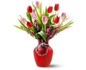 Tempting Tulips in McDonoughGA, Absolutely Flowers