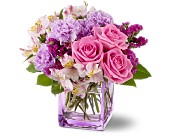 Teleflora's Beautiful Day in McDonough GA, Absolutely Flowers