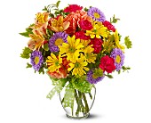 Make a Wish in McDonough GA, Absolutely Flowers