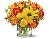 Summer Samba in McDonoughGA, Absolutely Flowers