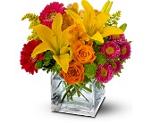 Teleflora's Summertime Splash in McDonoughGA, Absolutely Flowers