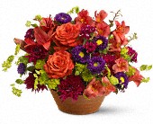 Autumn Celebration in McDonough GA, Absolutely Flowers