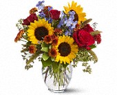 Sunny Skies in McDonough GA, Absolutely Flowers