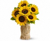 Hayride in McDonough GA, Absolutely Flowers