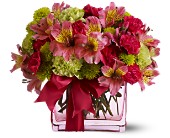 Teleflora's Cheers To You in McDonough GA, Absolutely Flowers