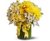 Lemon Aid in McDonoughGA, Absolutely Flowers