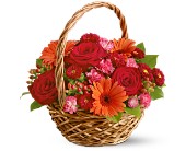 Warm Wishes in McDonoughGA, Absolutely Flowers