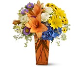 Bright Wishes in McDonoughGA, Absolutely Flowers
