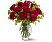 Teleflora's Dozen Sweet Roses in McDonough GA, Absolutely Flowers