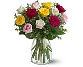 A Dozen Mixed Roses in McDonough GA, Absolutely Flowers