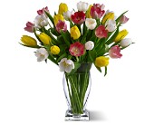 True Love Tulips in McDonoughGA, Absolutely Flowers