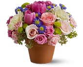 Spring Sonata in McDonoughGA, Absolutely Flowers