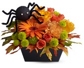 Cute n' Creepy in McDonough GA, Absolutely Flowers