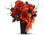 Jack-O'-Lantern Blooms in McDonough GA, Absolutely Flowers