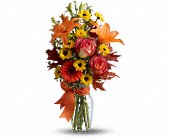 Burst of Autumn in McDonough GA, Absolutely Flowers