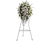 Sentiments of Serenity Spray in McDonough GA, Absolutely Flowers