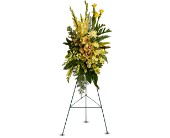 Sunshine Spray in McDonough GA, Absolutely Flowers