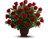 Teleflora's Rose Tribute in McDonough GA, Absolutely Flowers