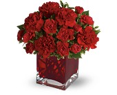 Teleflora's Precious Love in McDonoughGA, Absolutely Flowers