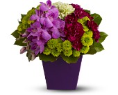 Teleflora's European Blooms in McDonough GA, Absolutely Flowers